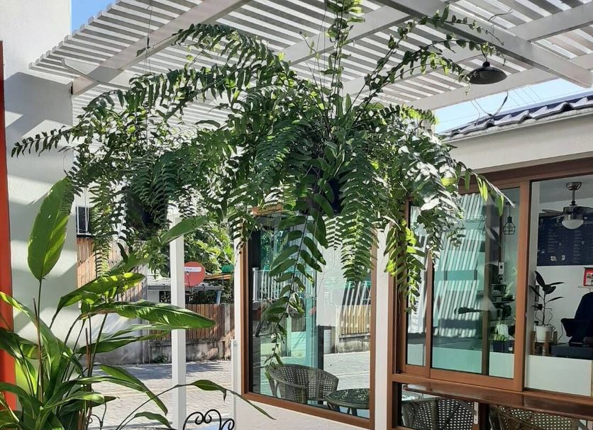 Patio Gambar