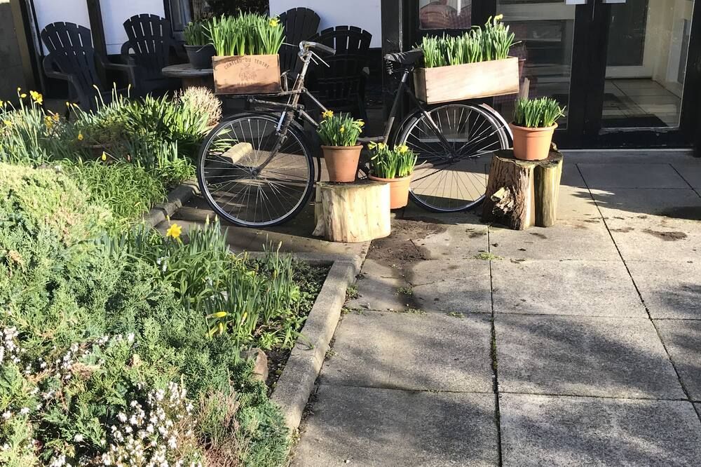 Patio Gambar