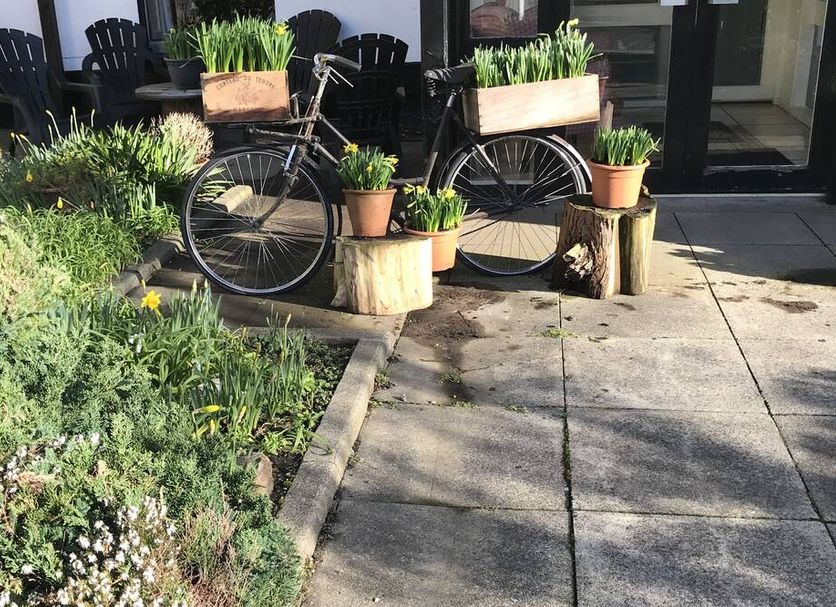 Patio Gambar