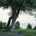 Pemandangan luar