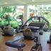 Gim