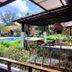Kolam renang