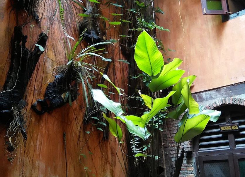 Pemandangan luar Gambar
