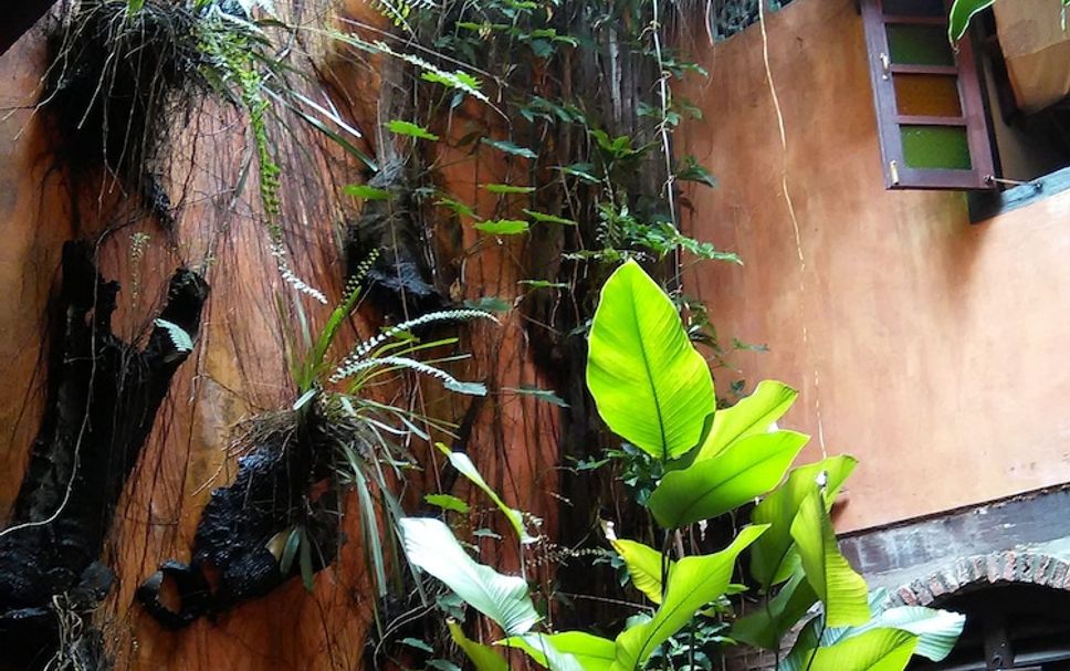 Pemandangan luar Gambar