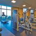 Gim