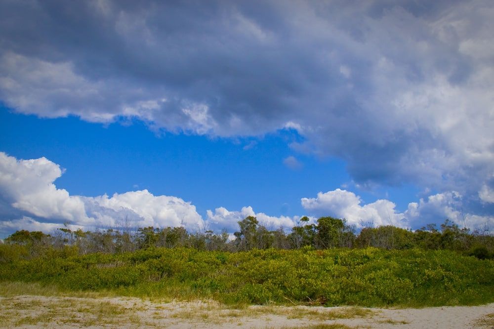 Pemandangan luar
