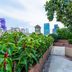Pemandangan luar