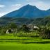 Pemandangan luar