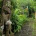 Pemandangan luar