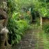 Pemandangan luar