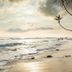 Pantai