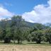 Pemandangan luar