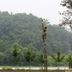Pemandangan luar