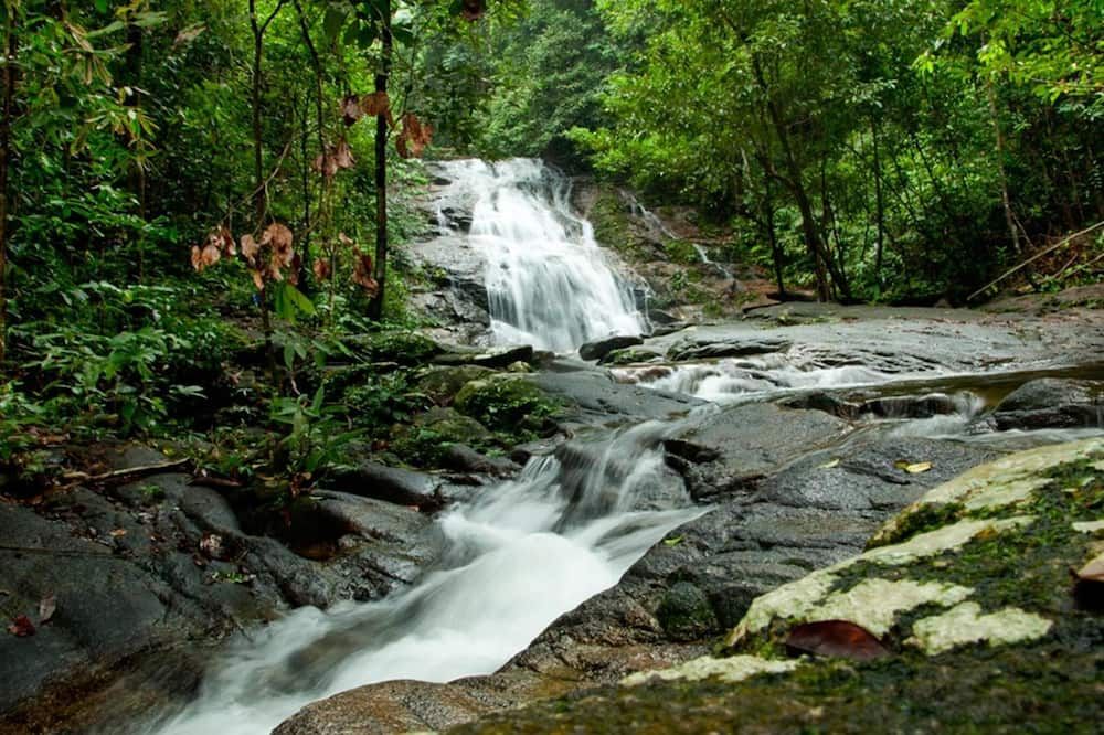 Pemandangan luar