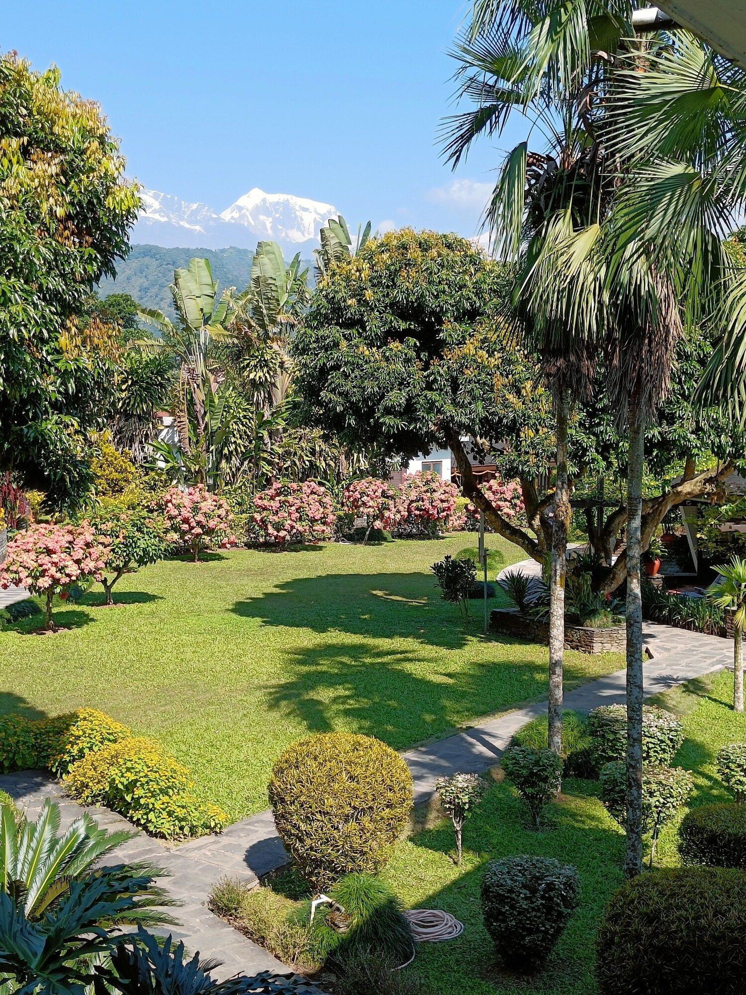 Pemandangan luar