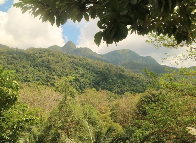 Pemandangan luar Gambar
