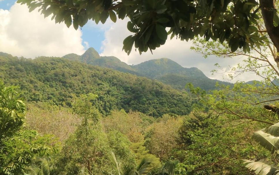 Pemandangan luar Gambar