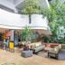 Lobi
