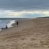 Pantai