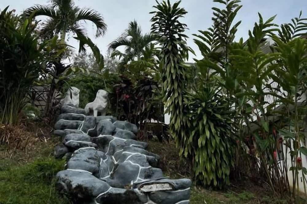 Pemandangan luar