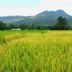 Pemandangan luar