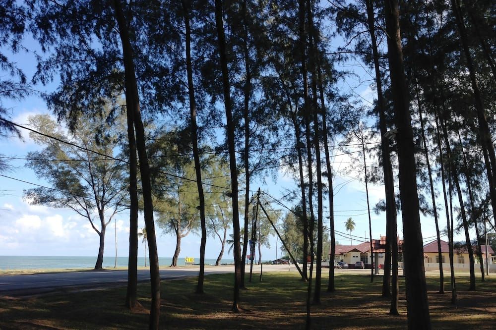 Pemandangan luar