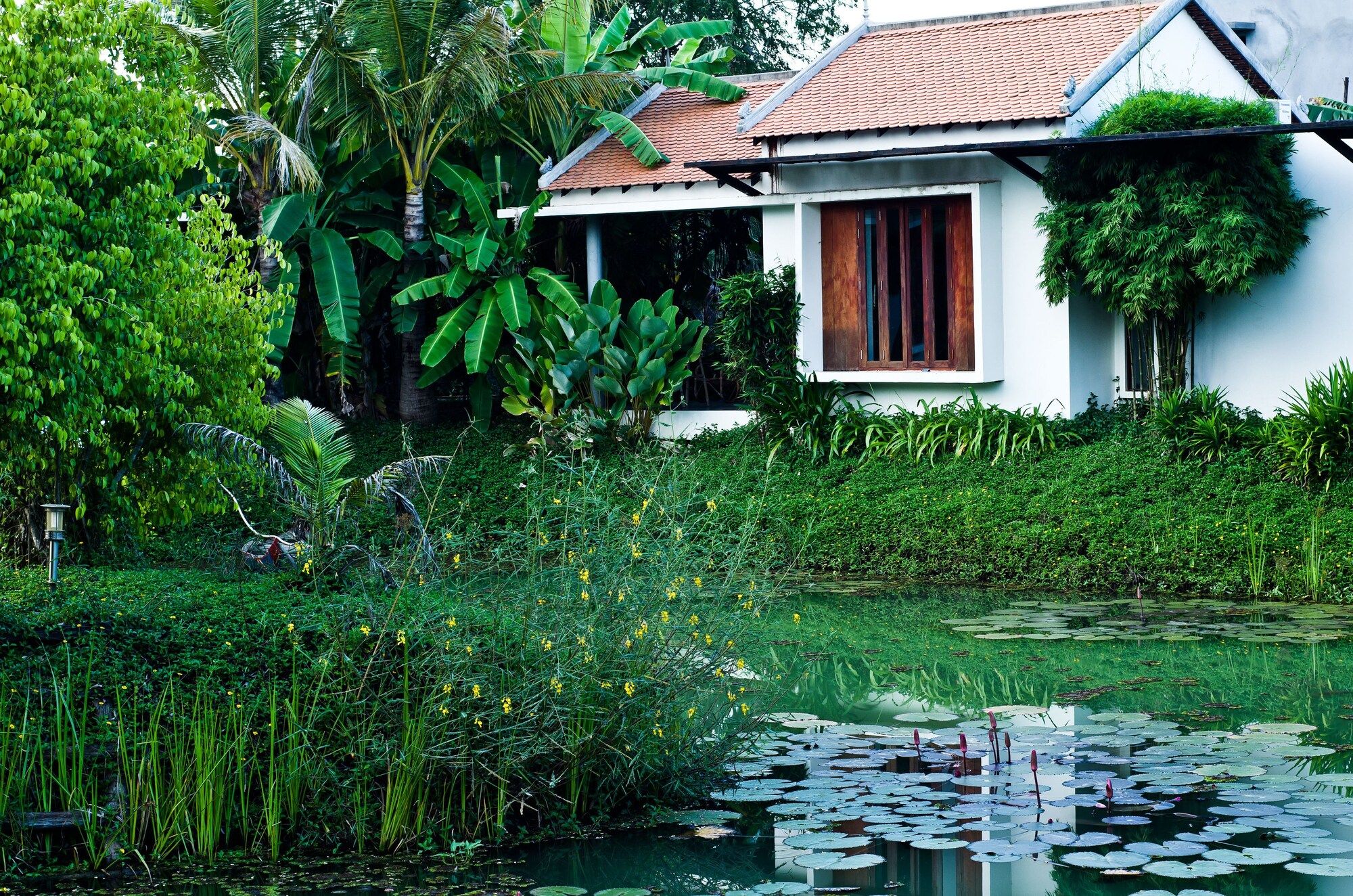 Pemandangan luar