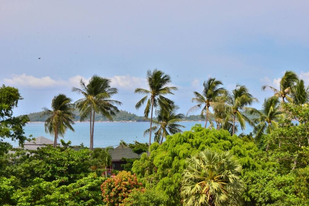 Pemandangan luar