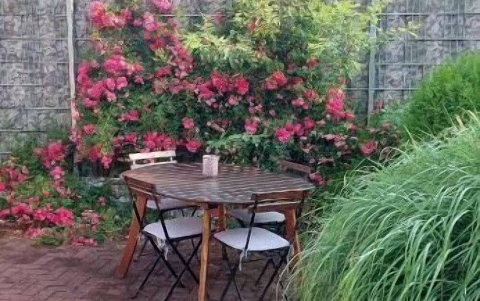 Patio Gambar