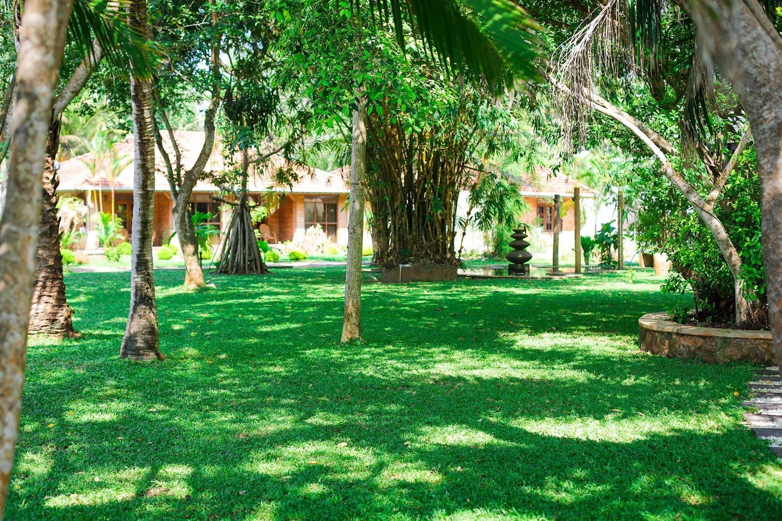 Pemandangan luar