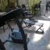 Gim