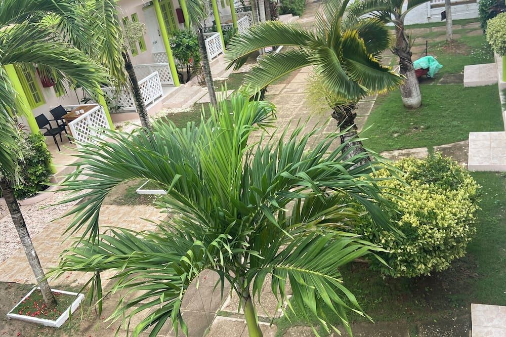 Pemandangan luar