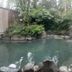 Pemandangan luar
