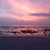 Pantai