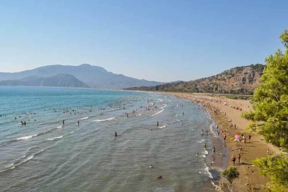 Pantai