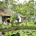 Pemandangan luar