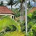 Pemandangan luar