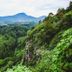 Pemandangan luar