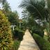 Pemandangan luar