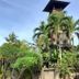 Pemandangan luar