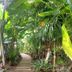 Pemandangan luar