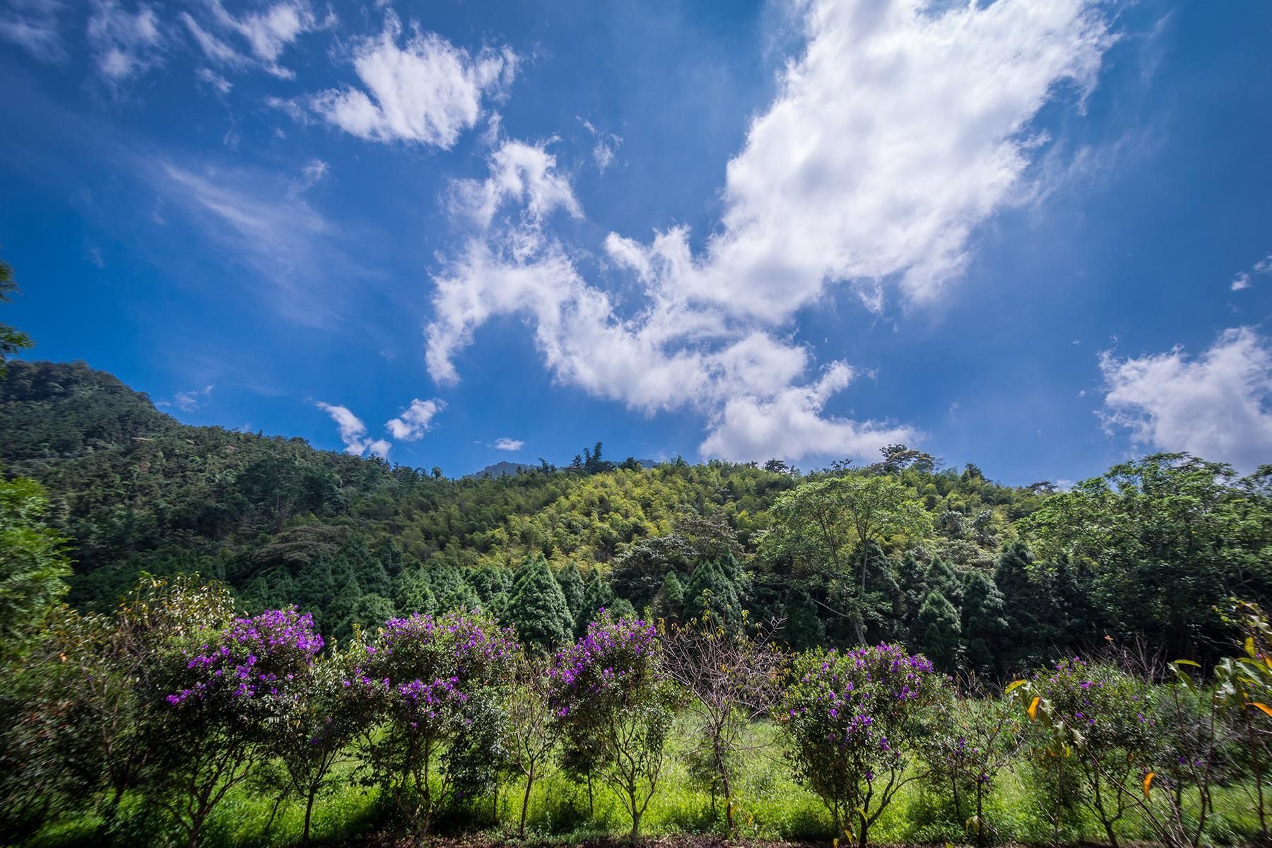 Pemandangan luar