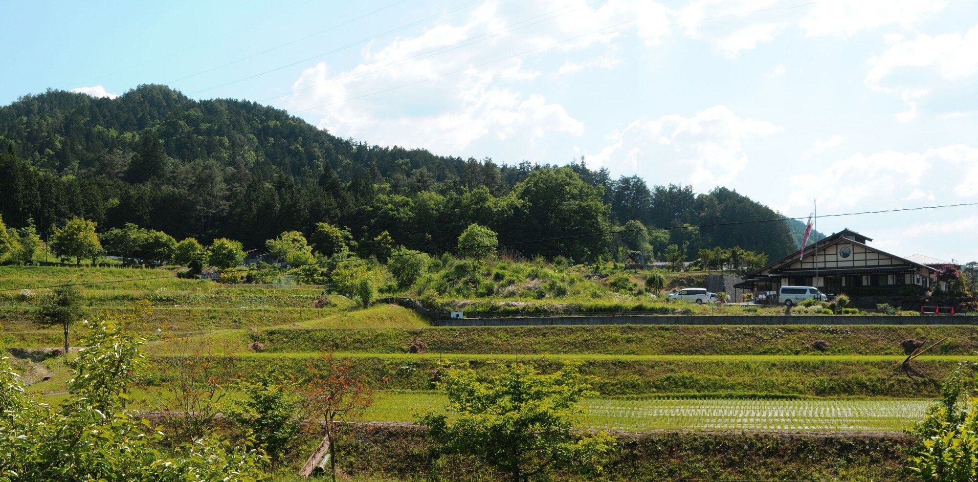Pemandangan luar