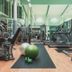 Gim