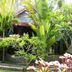 Pemandangan luar