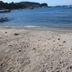 Pantai
