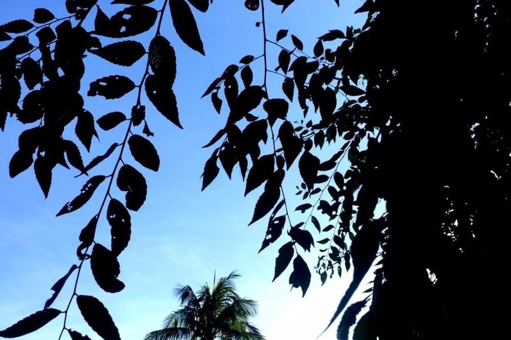 Pemandangan luar