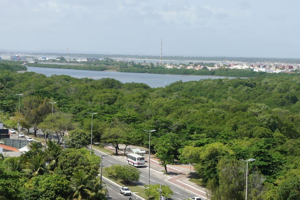 Pemandangan luar
