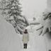 Lain-lain