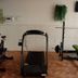 Gim